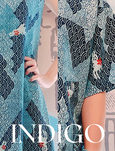INDIGO-01 INDIGO-01